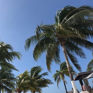 Meet your Posher, Christie